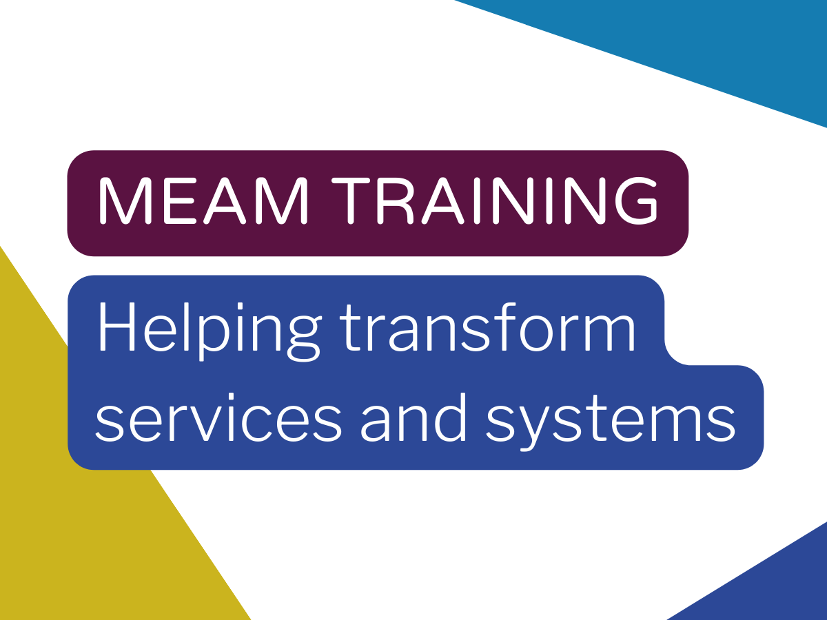 MEAM training: helping transform services and systems