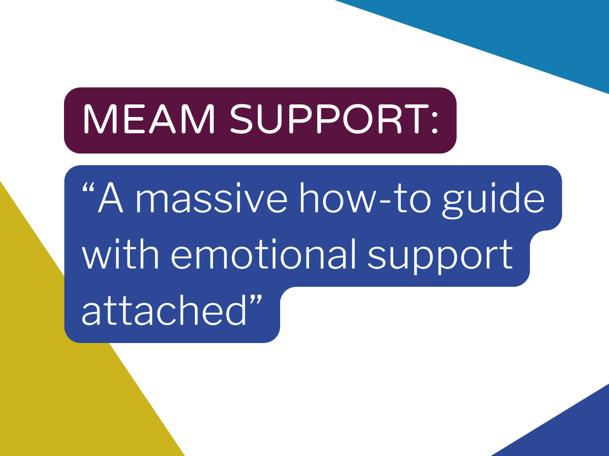 MEAM support: a massive how-to guide with emotional support attached
